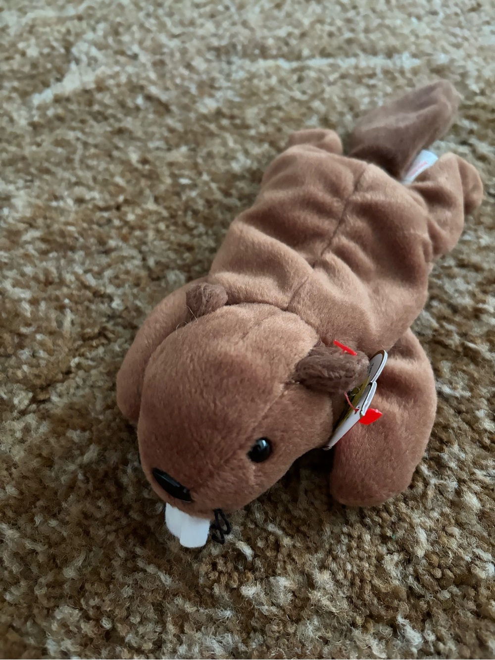 Ty Beanie Baby Bucky the Beaver